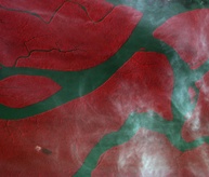 Amazon River as seen from ISSAC.