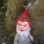 Picture of Susanne R.