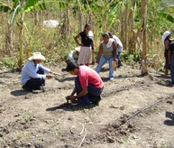 ONE Drop in honduras