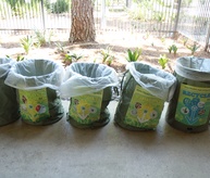 Composting and recycling for a zero-waste event