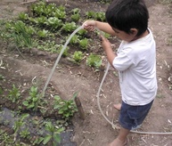Growing