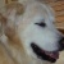 Picture of Carole S.