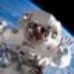 Avatar for SpaceRocketeer