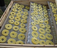 Solar Dryer Implementation