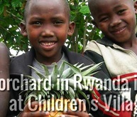 The largest orchard in Rwanda