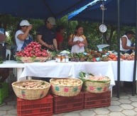 ONE DROP IN HONDURAS