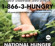 Need Help?