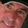 geoff.studds